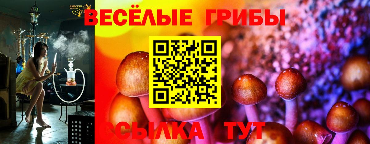 Галлюциногенные грибы мицелий  Вход с VPN  даркнет сайт  Сертолово 