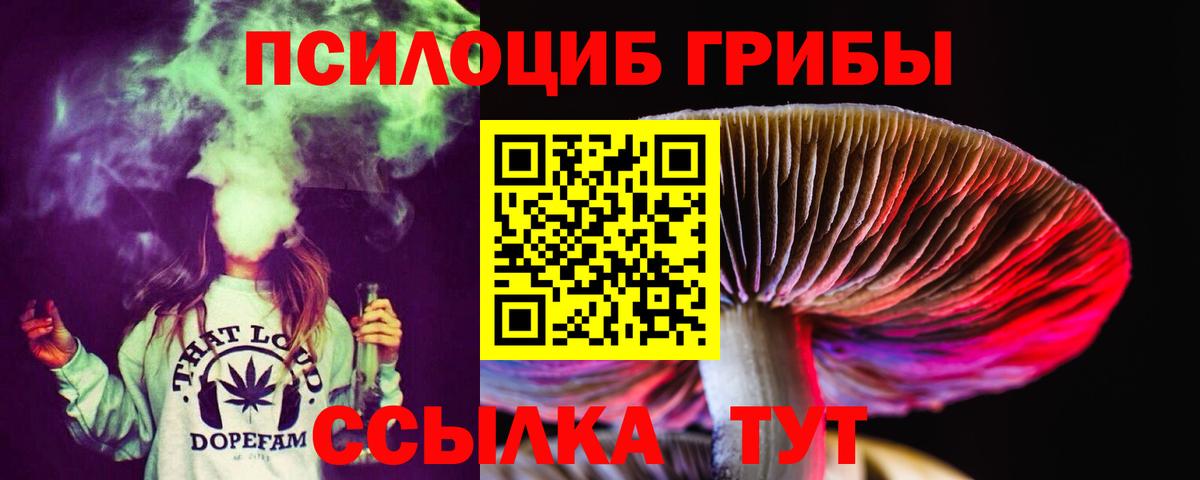 Галлюциногенные грибы Psilocybine cubensis Сертолово